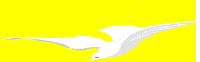 the Holy Spirit
